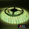 60 LED/m Kültéri Színes (RGB)