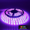 60 LED/m Kültéri Színes (RGB)
