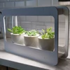 GAO Mini garden növény megvilágító