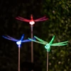 Garden of Eden 11393B RGB LED-es szolár lámpa