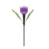 Garden of Eden 11703 LED-es szolár tulipánlámpa