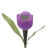 Garden of Eden 11703 LED-es szolár tulipánlámpa