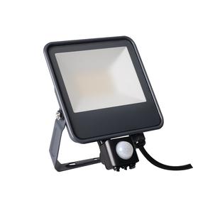 IQ-LED FL-30W-NW-SE reflektor